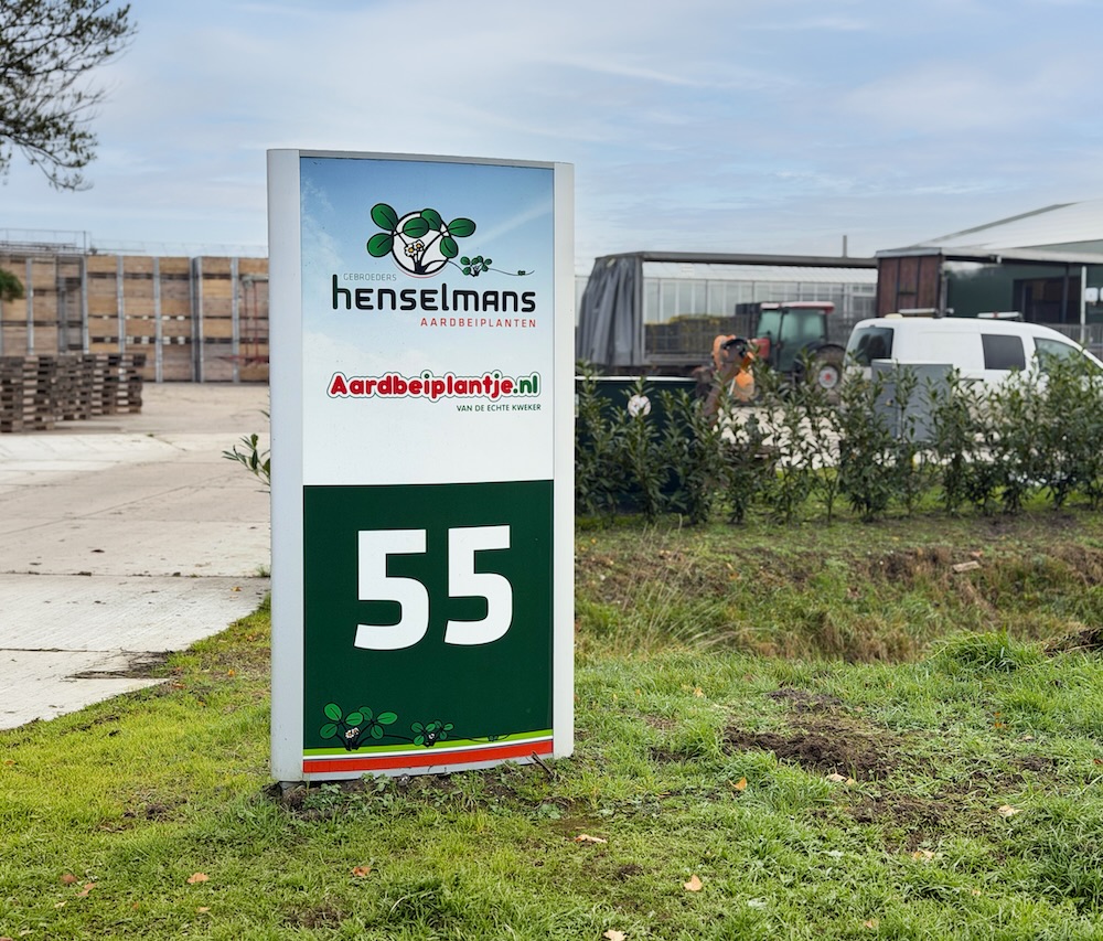 Henselmans zuil groter LR
